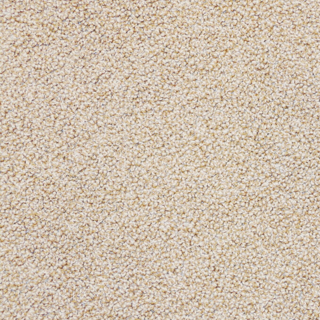 carpet image e1766074804488 | Bougainville Flooring Super Store